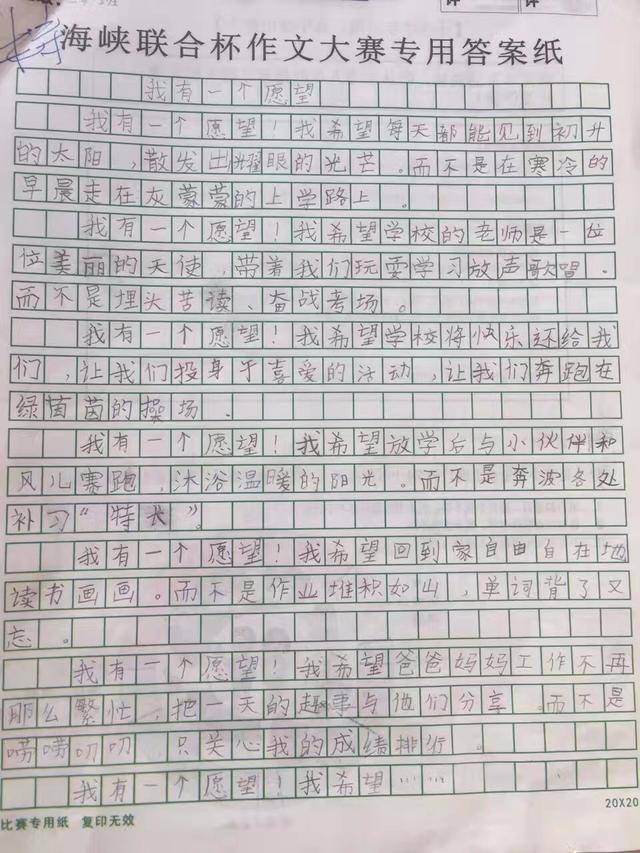 小学三年级怎样写好作文:沈阳三年级小学生作文《我有
