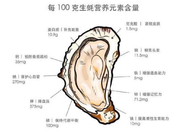 生蚝的营养成分