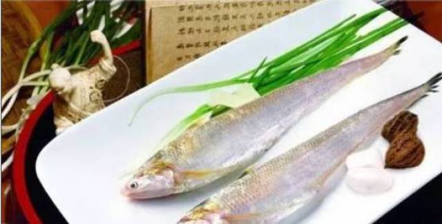 舌尖太湖丨游上苏州人饭桌的刀鱼