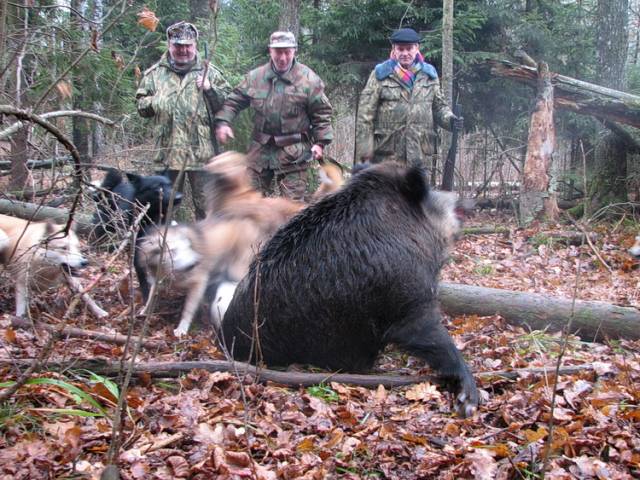 狂野俄罗斯狩猎之旅