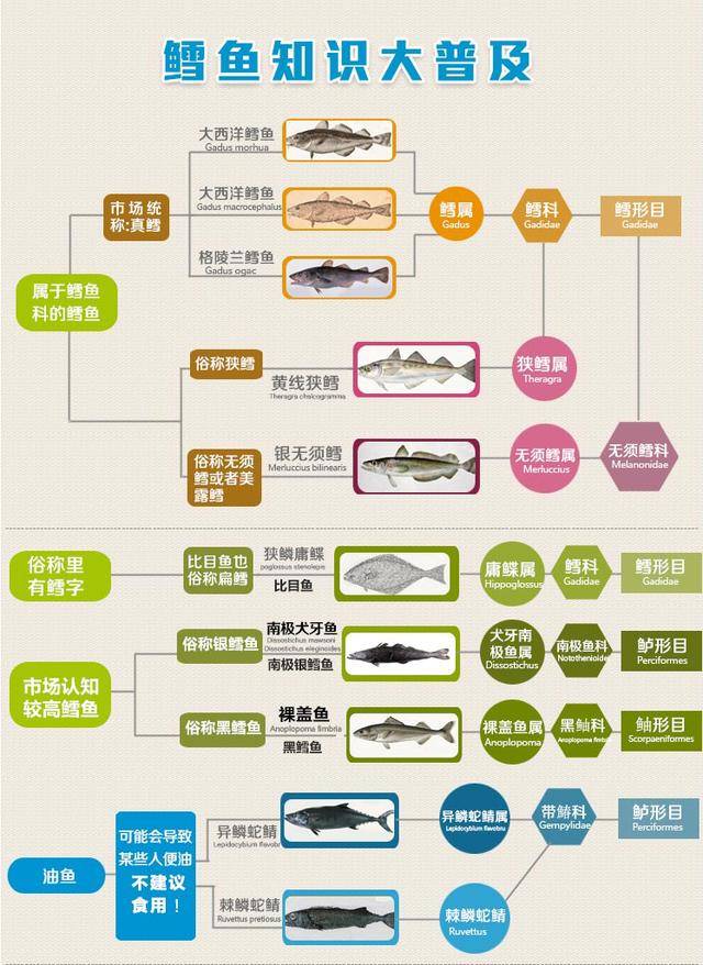 麦当劳"深海鳕鱼堡"用的是假鳕鱼?真相在这里