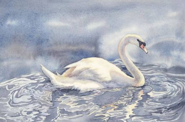 小丑鸭与白天鹅这首歌图片_纵览新闻