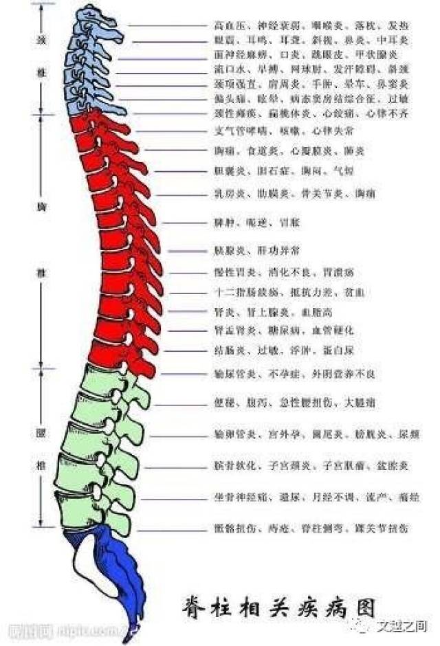 一根脊椎,竟然会引起100多种疾病!