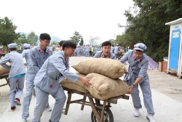 作为不合格的搬运工,你们估计要被淘汰掉了,这"粮食"可是撒了一地啊!