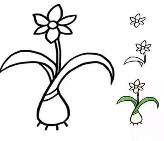 【生物必杀技】植物简笔画教程