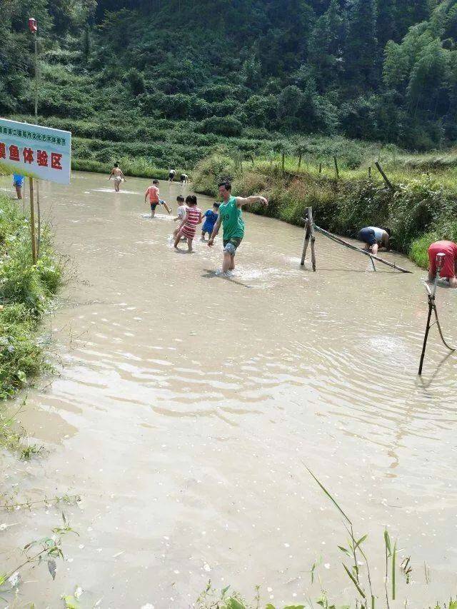 遂川禾源第二届"割禾"比赛,场面壮观 !