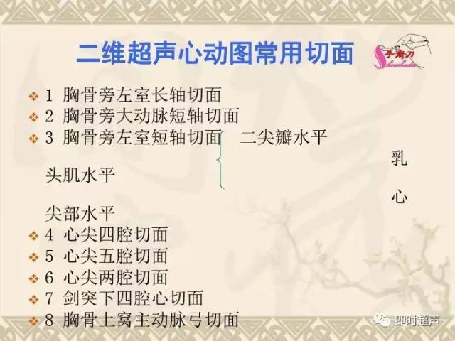超声心动图常用切面的打法图解