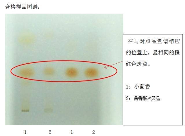 是什么原因让八角茴香和党参上