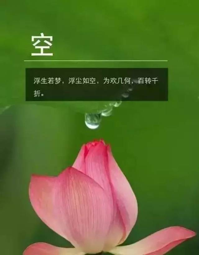 浮生若梦,浮尘如空,为欢几何,百转千折.