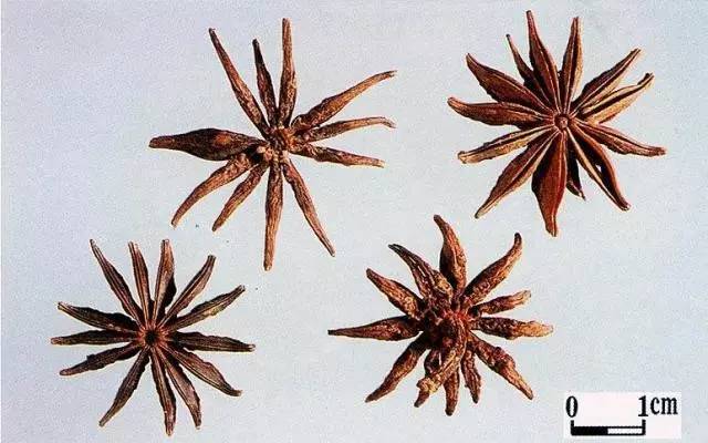 是什么原因让八角茴香和党参上了中药界头条?