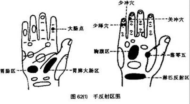 胃脾大肠区,胃肠区,胸腹反射区,胃痛时可强刺激大肠点和揉按落零五穴