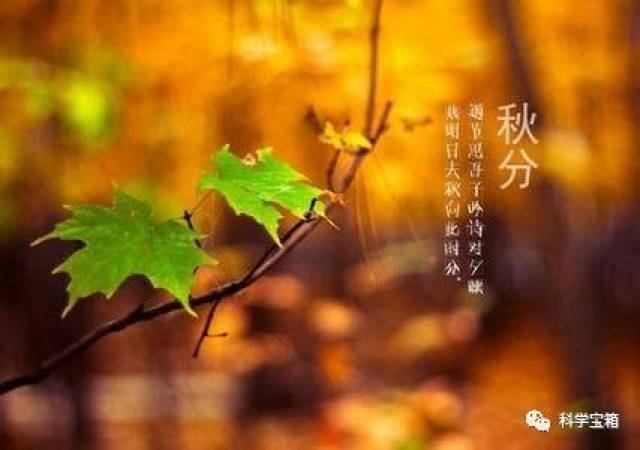 秋分有三候: "一候雷始收声;二候蛰虫坯户;三候水始涸".