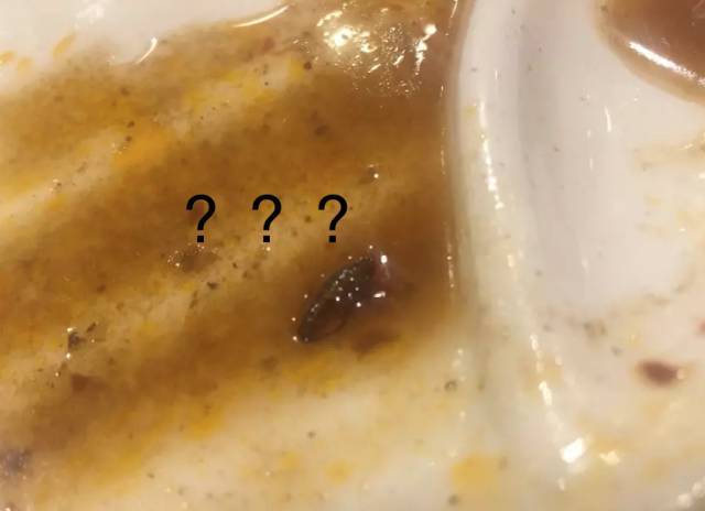中国游客在悉尼著名中餐馆吃出蟑螂!当事人:“店家不但不道歉,