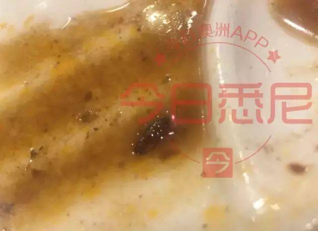 中国游客在悉尼著名中餐馆吃出蟑螂!当事人:“店家不但不道歉,