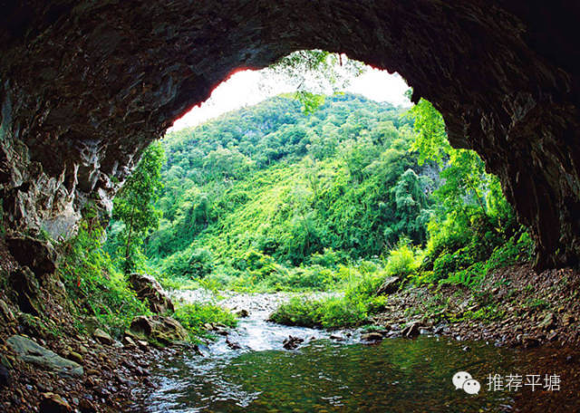 掌布景区