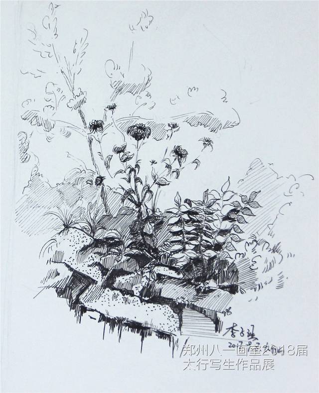 郑州八一画室太行写生作品展风景速写(四)