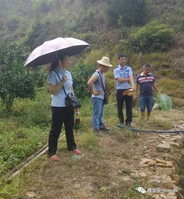 藤县蒙江村民祭祖引发山火起纠纷.