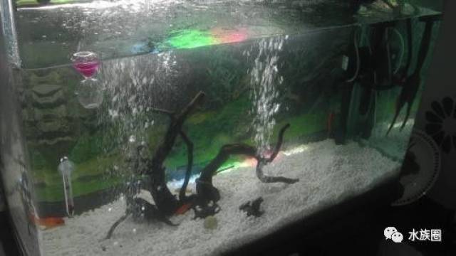 困水是什么意思啊?