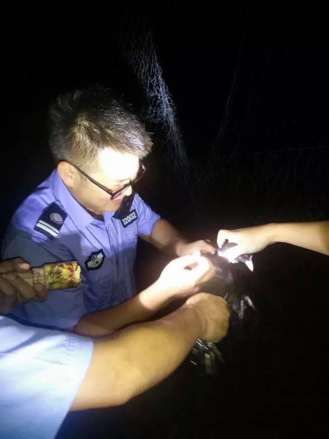 打击非法捕鸟 鲁垛警察在行动