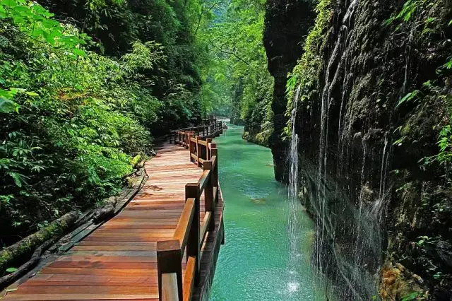 酉阳桃花源景区]