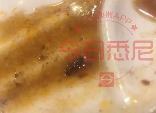 澳洲著名中餐馆吃出蟑螂!当事人:“店家不但不道歉,还说我们给