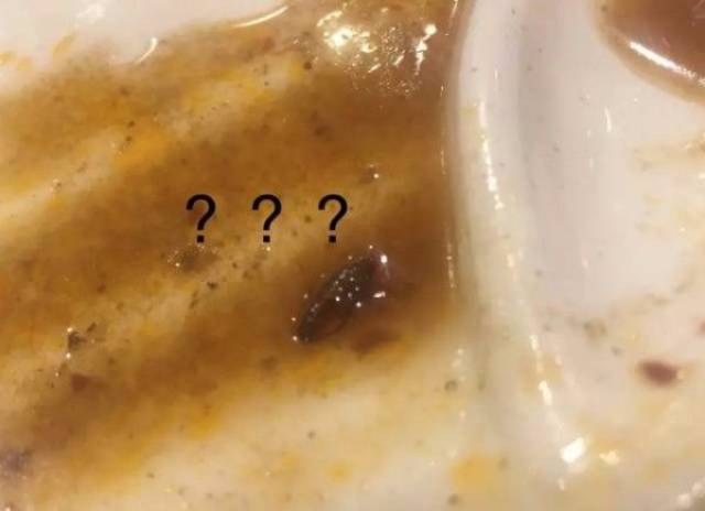 澳洲著名中餐馆吃出蟑螂!当事人:“店家不但不道歉,还说我们给