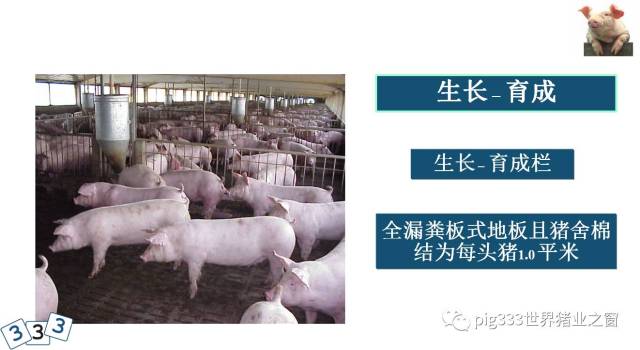 如何把猪场设计图美观化 811b8b4f127845ddb10aa758d3133882.jpeg