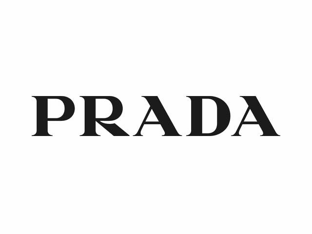 5prada rope emblem(绳结徽章)