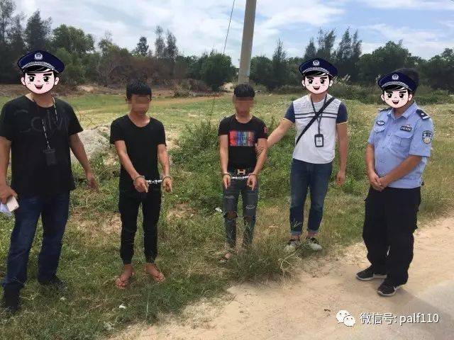 刑警六中队,九中队,碣北派出所 在碣北镇湖坑村将犯罪嫌疑人陈某鹏(男