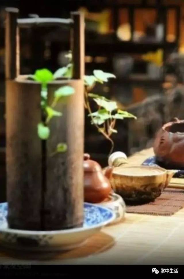 有一种美叫:静默如初