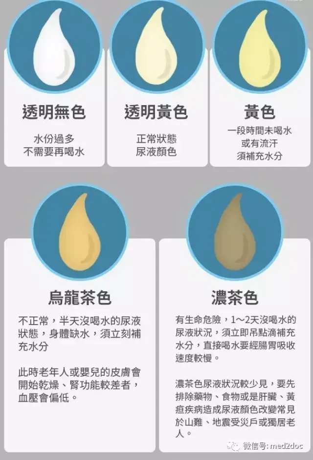 瑞昂生命|身体缺水吗?看尿液颜色就知道