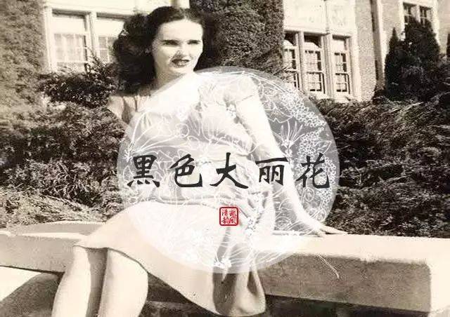 1947年,在这间酒店,发生了全美最著名凶案——"黑色大丽花"案.