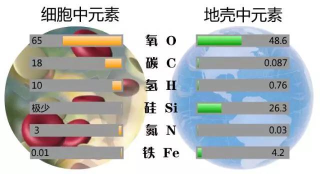 【知识清单】组成细胞的元素与化合物