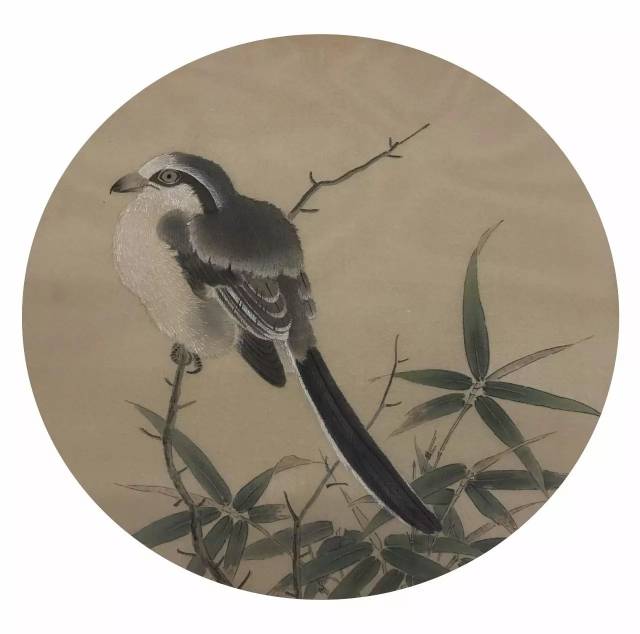 欧阳慧环临摹《竹鸠图》