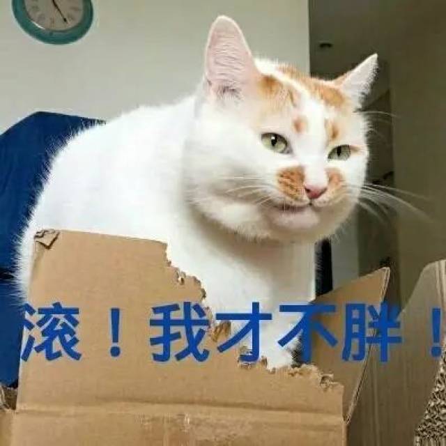 2197673a736a4ca09a73d2004061ed58.jpeg