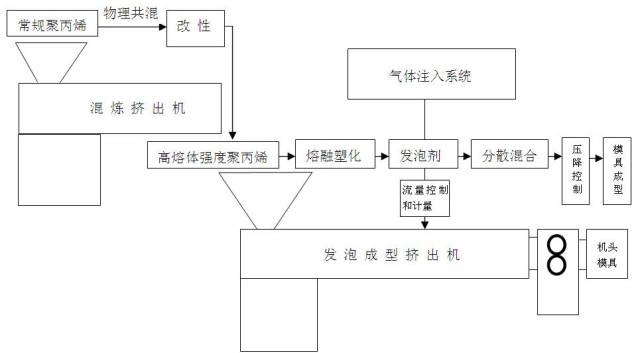 聚丙烯连续挤出发泡技术 可行性报告