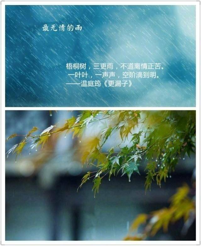 诗词里最美的九场雨,场场洒脱自然,打动最美的中国