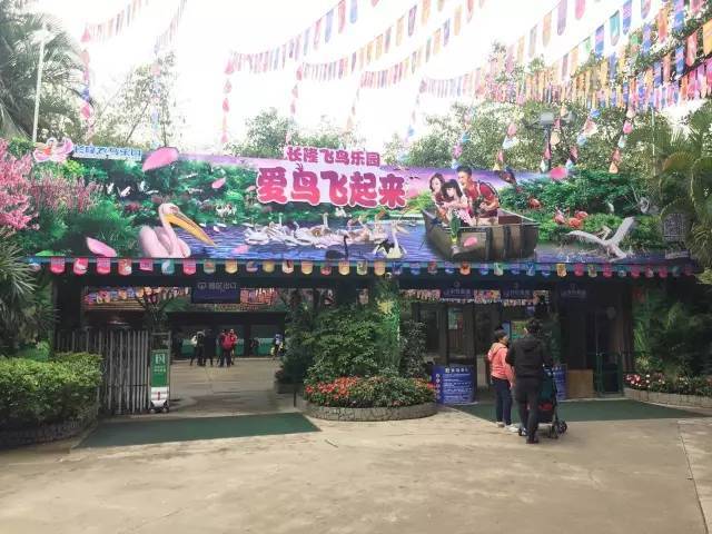 第二天我们的行程是飞鸟乐园 欢乐世界 水上乐园 长隆飞鸟乐园 前面