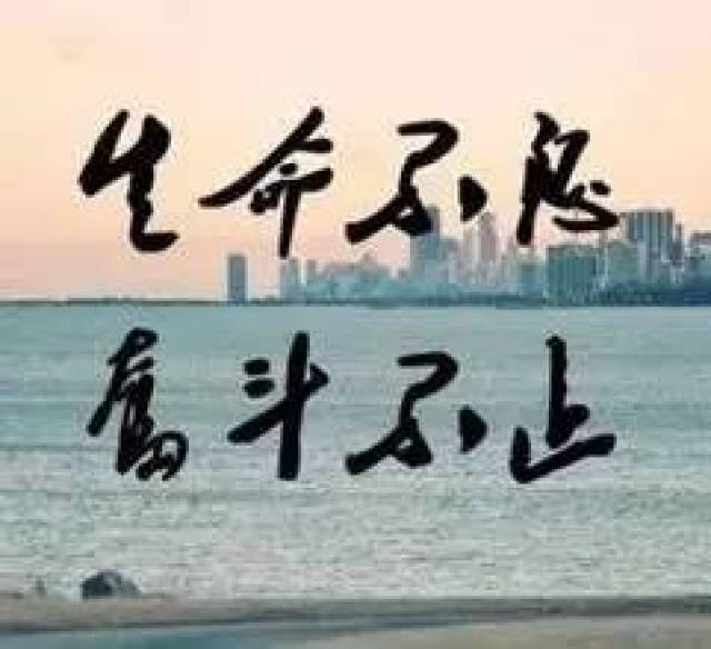 1,人生最重要的不是努力,不是奋斗,而是选择.