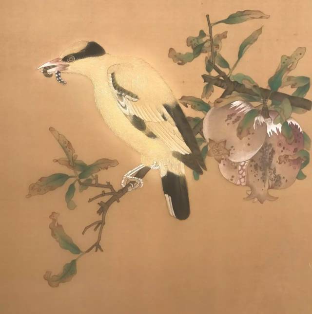 冯华芬临摹《榴枝黄鸟图》