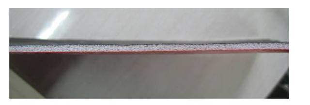 聚丙烯连续挤出发泡技术 可行性报告