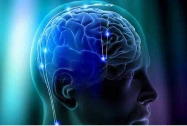 蜂巢意识:未来机脑互连和共享大脑或将终结个