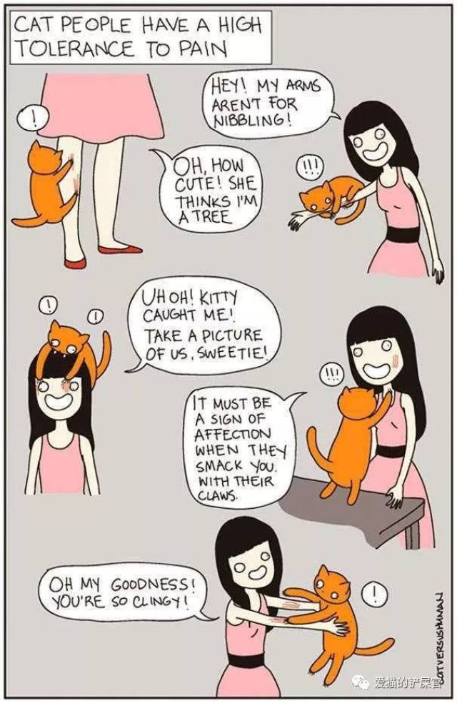 《猫咪vs人类》幽默网络漫画描述猫奴的辛酸与幸福