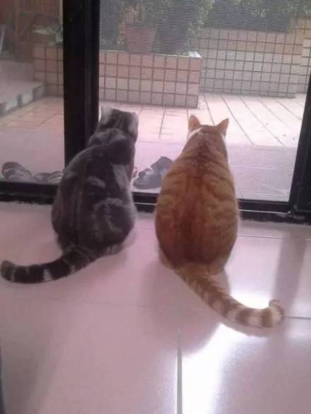 d470bfeb727b4e5597cd9eb4ac201204.jpeg