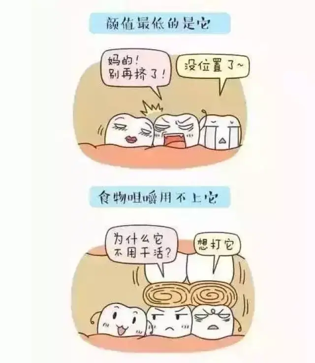 一张图带你看懂智齿的世界,拔还是不拔