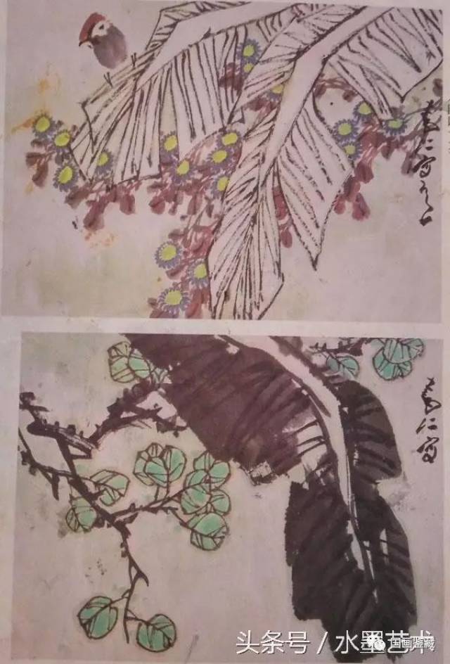 国画写意芭蕉画法教程