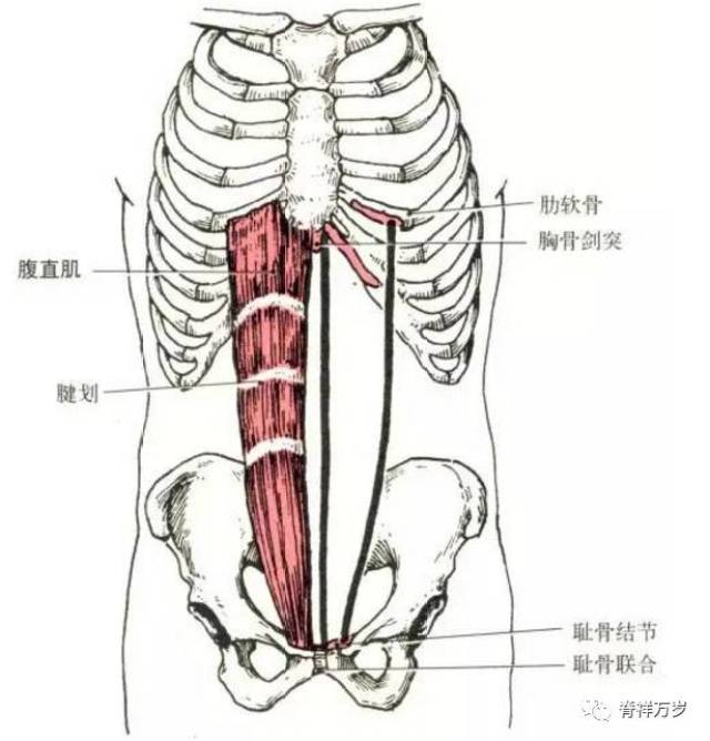 久坐,导致粗腿和腰背部疼痛?