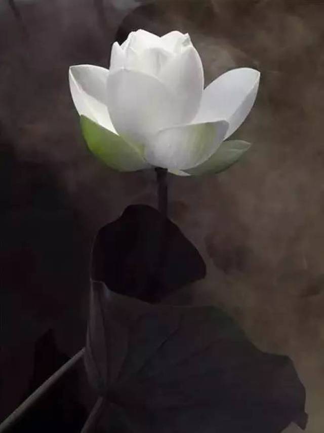 佛说:今生,遇见该遇的人,偿还前世的债 !
