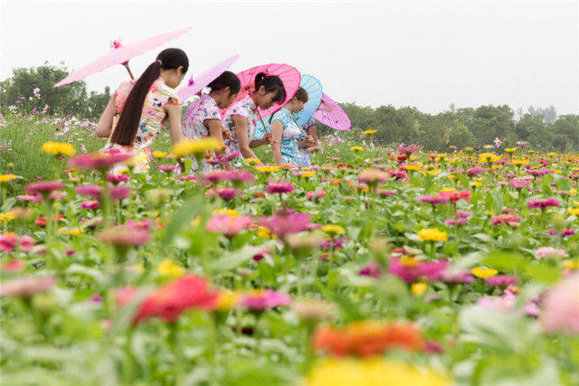 20张门票免费送丨百亩凤凰花海,全国特色小吃汇聚……麒麟湾景区邀你