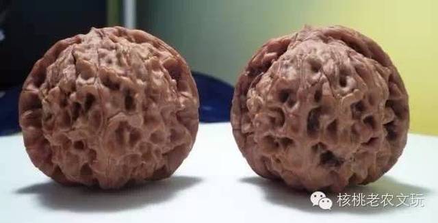 文玩核桃--50种狮子头总汇,涨姿势啦!